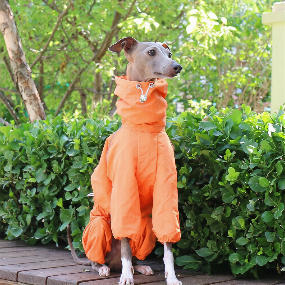 Whippet Italian Greyhound Dog Waterproof Jacket Lightweight Breathable Outdoor Raincoat