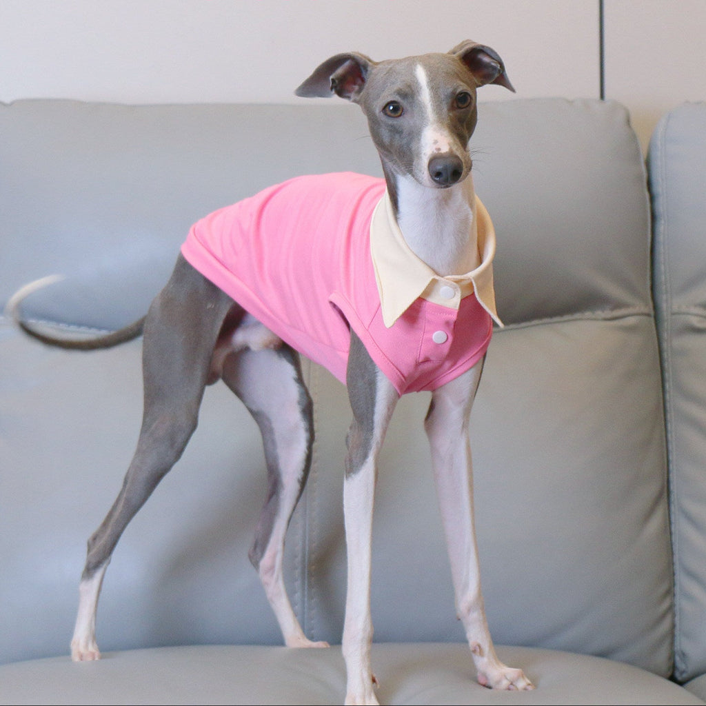 Whippet Italian Greyhound Dog Polo Shirt Lightweight Breathable Summer Vest Bright Color Pet Outfit