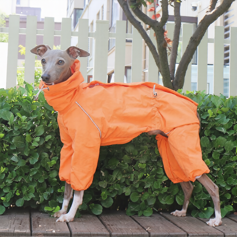 Whippet Italian Greyhound Dog Waterproof Jacket Lightweight Breathable Outdoor Raincoat