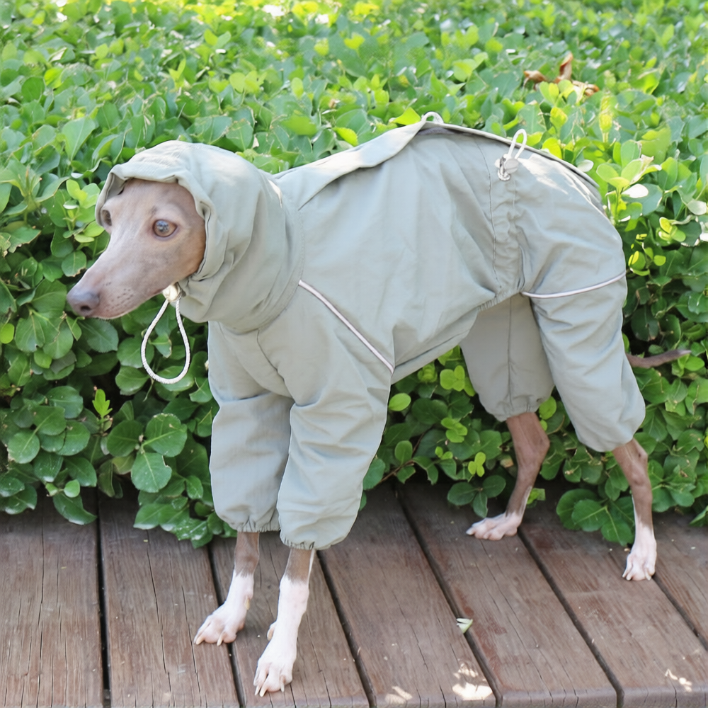 Whippet Italian Greyhound Dog Waterproof Jacket Lightweight Breathable Outdoor Raincoat