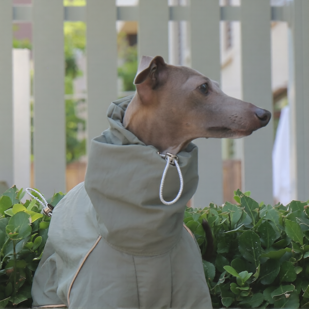 Whippet Italian Greyhound Dog Waterproof Jacket Lightweight Breathable Outdoor Raincoat