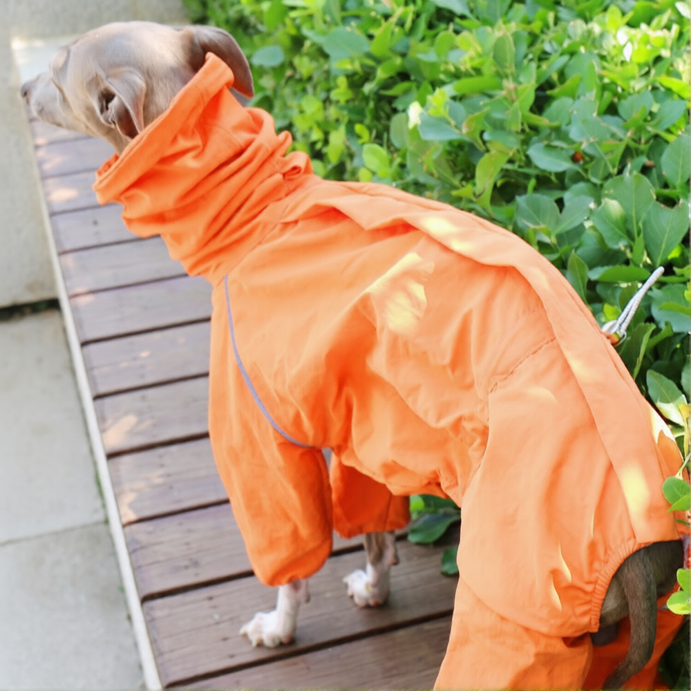 Whippet Italian Greyhound Dog Waterproof Jacket Lightweight Breathable Outdoor Raincoat