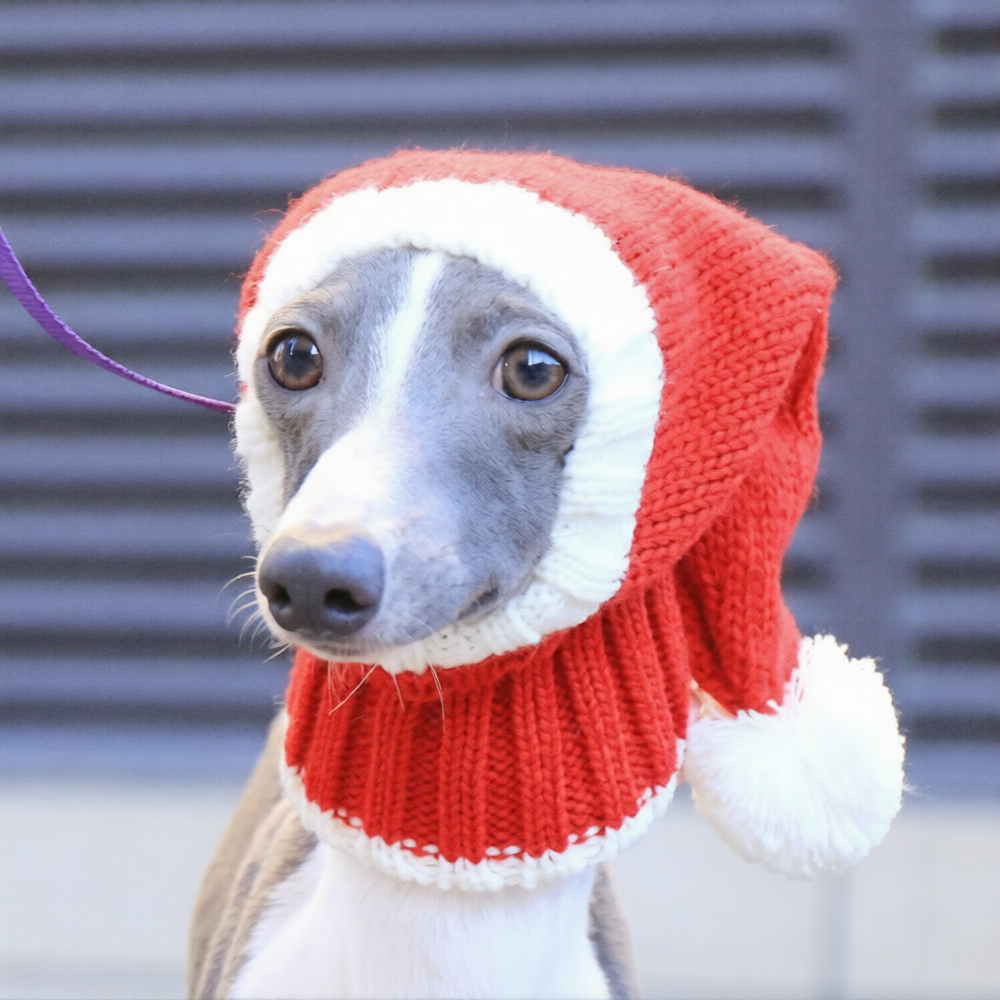 Whippet & Italian Greyhound Christmas Dog Snood – Festive Winter Ear Protection Hood