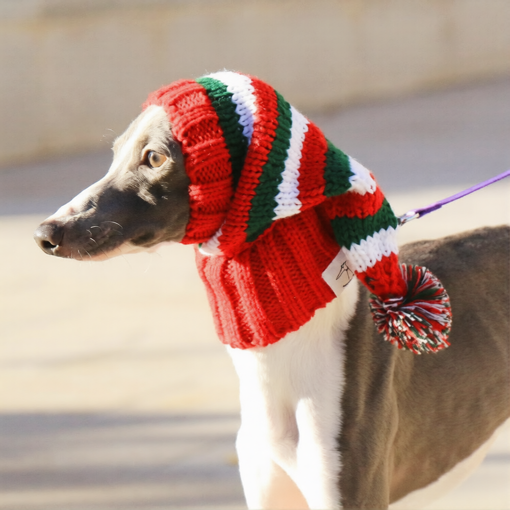 Whippet & Italian Greyhound Christmas Dog Snood – Festive Winter Ear Protection Hood