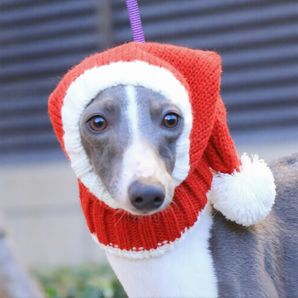 Whippet & Italian Greyhound Christmas Dog Snood – Festive Winter Ear Protection Hood