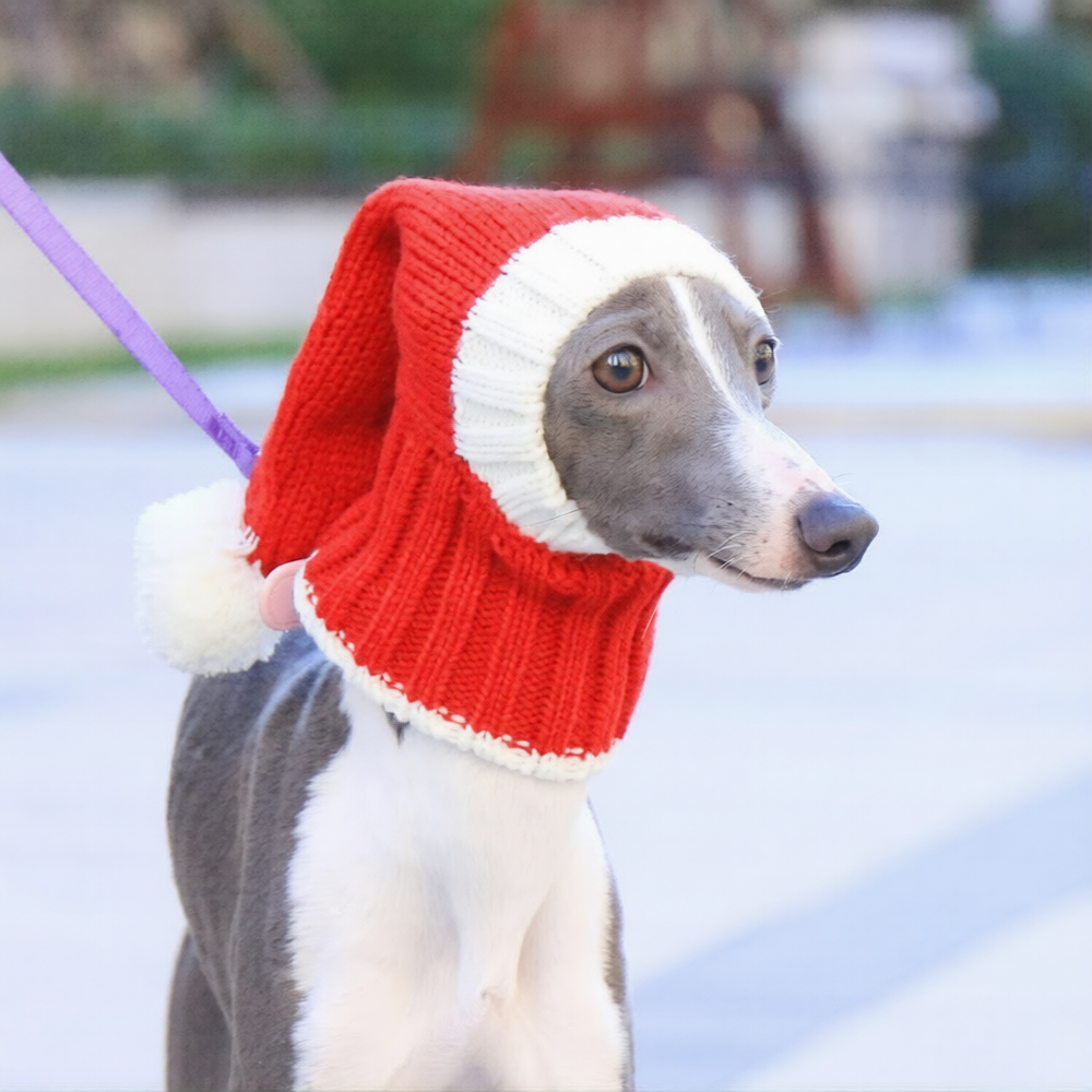 Whippet & Italian Greyhound Christmas Dog Snood – Festive Winter Ear Protection Hood
