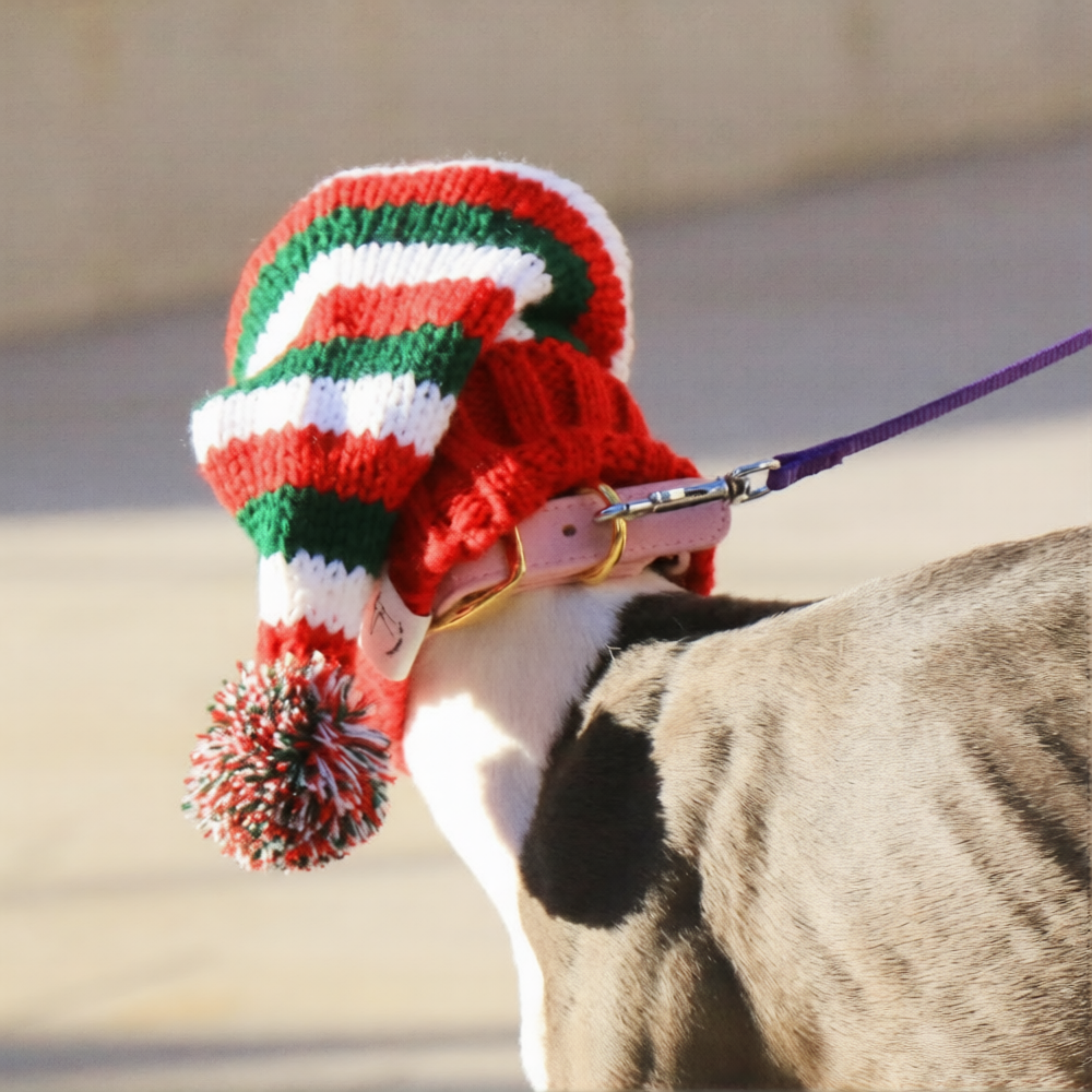 Whippet & Italian Greyhound Christmas Dog Snood – Festive Winter Ear Protection Hood