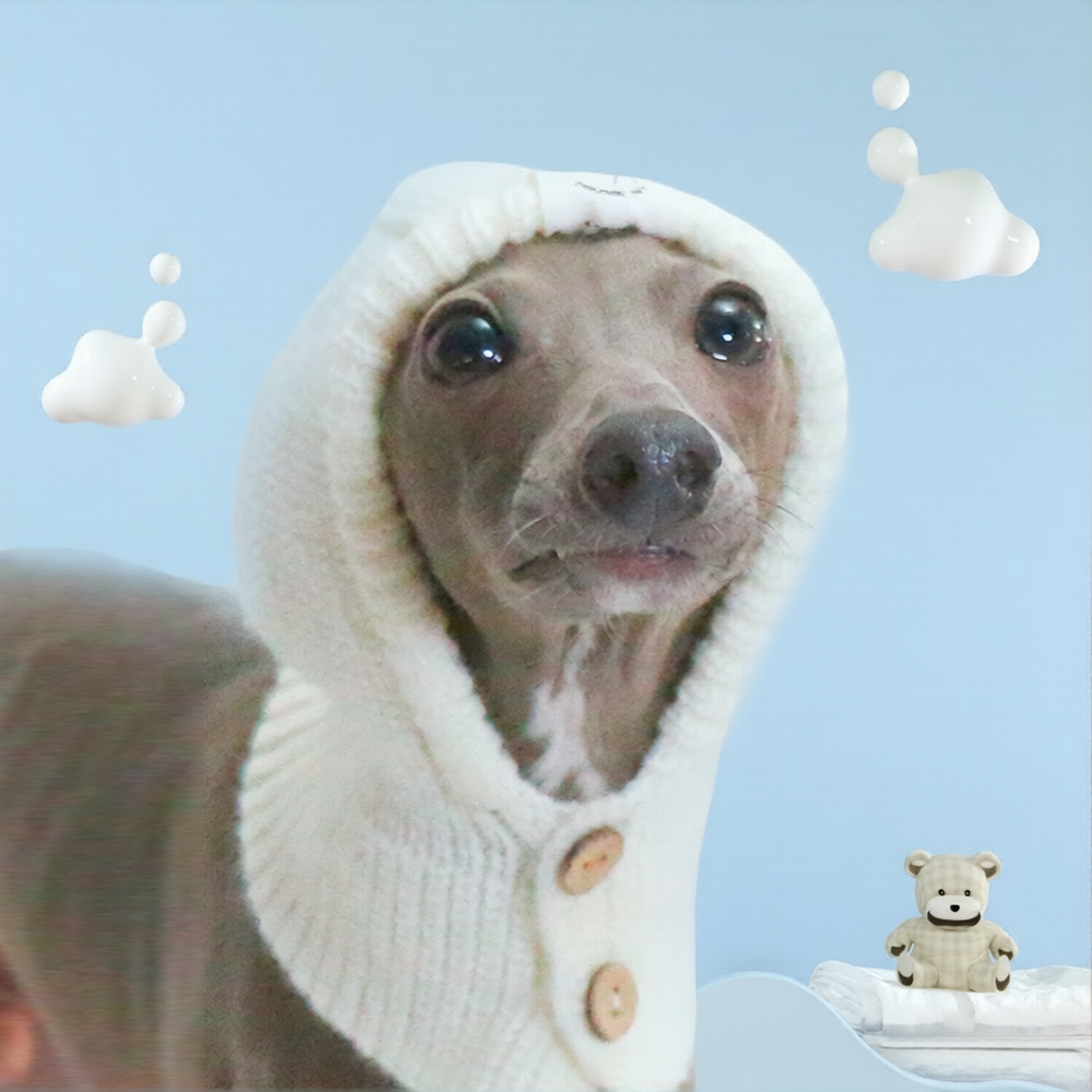 Whippet & Italian Greyhound Knitted Dog Snood – Soft Winter Ear Cover for Sighthounds