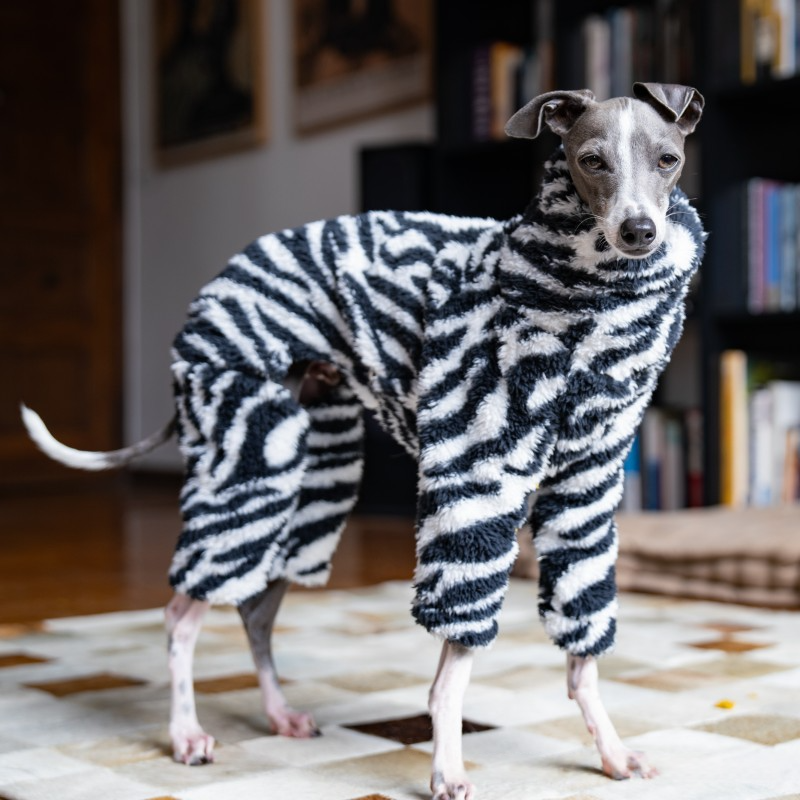 Whippet & Italian Greyhound Winter Pajamas – Warm Fleece Dog Bodysuit