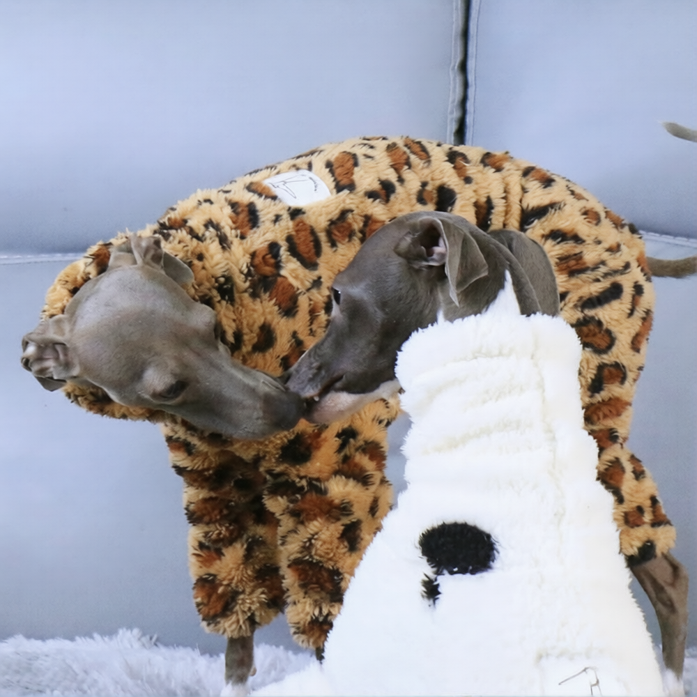 Whippet & Italian Greyhound Winter Pajamas – Warm Fleece Dog Bodysuit