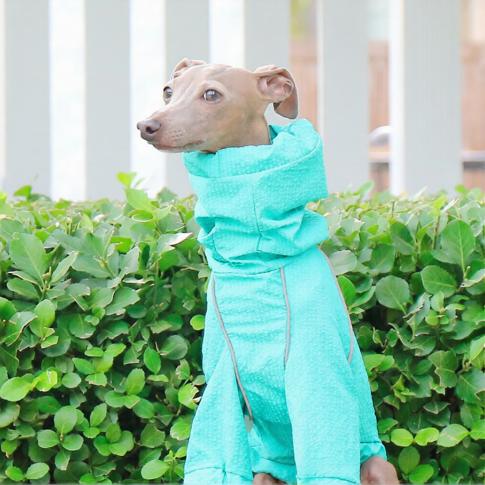 Whippet & Italian Greyhound Dog Raincoat – Waterproof Four-Leg Rain Suit