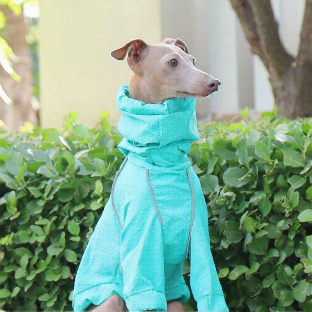 Whippet & Italian Greyhound Dog Raincoat – Waterproof Four-Leg Rain Suit