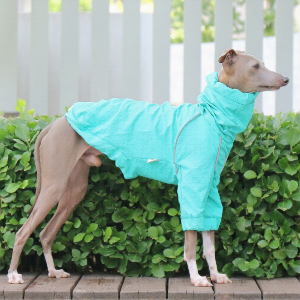 Whippet & Italian Greyhound Dog Raincoat – Waterproof Four-Leg Rain Suit