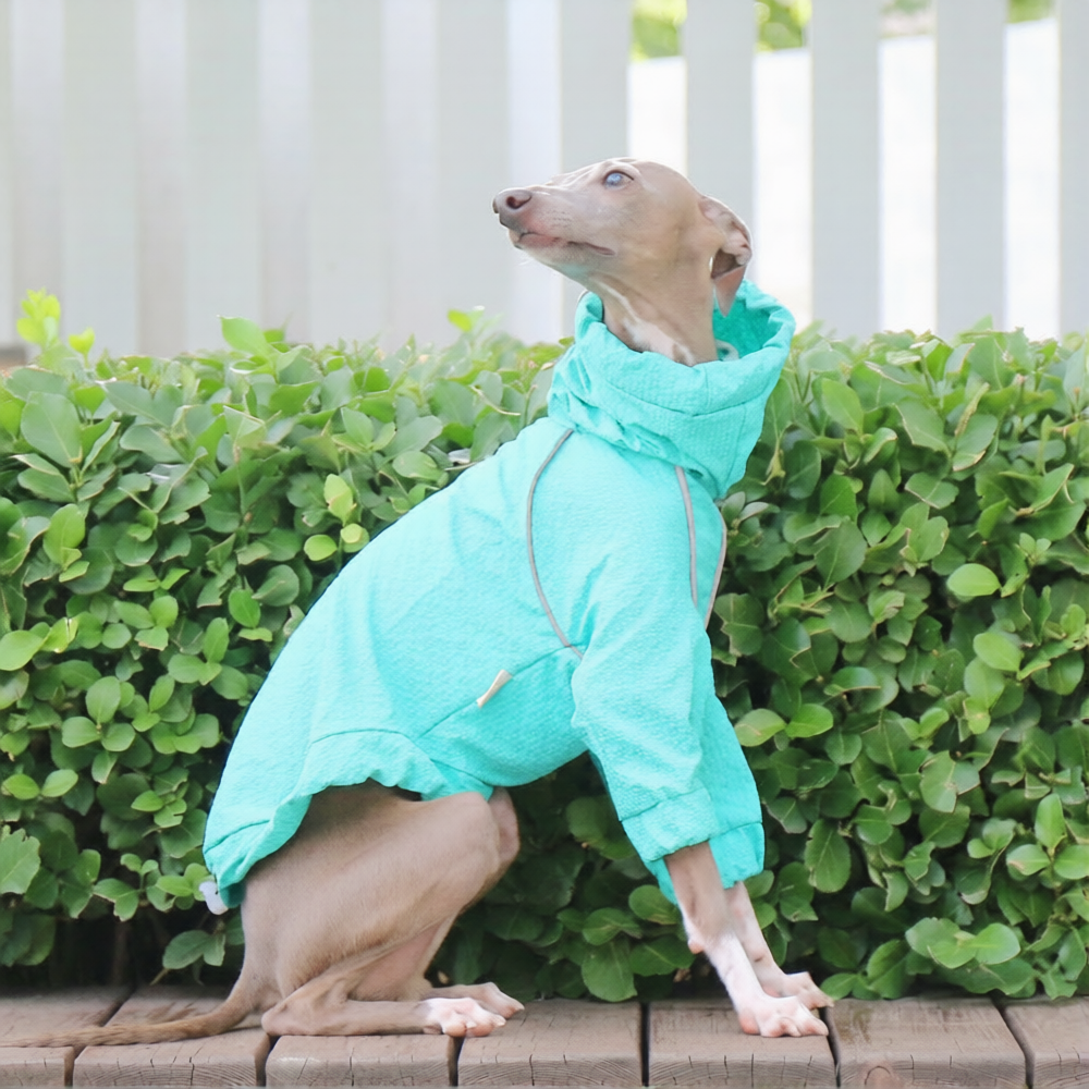 Whippet & Italian Greyhound Dog Raincoat – Waterproof Four-Leg Rain Suit