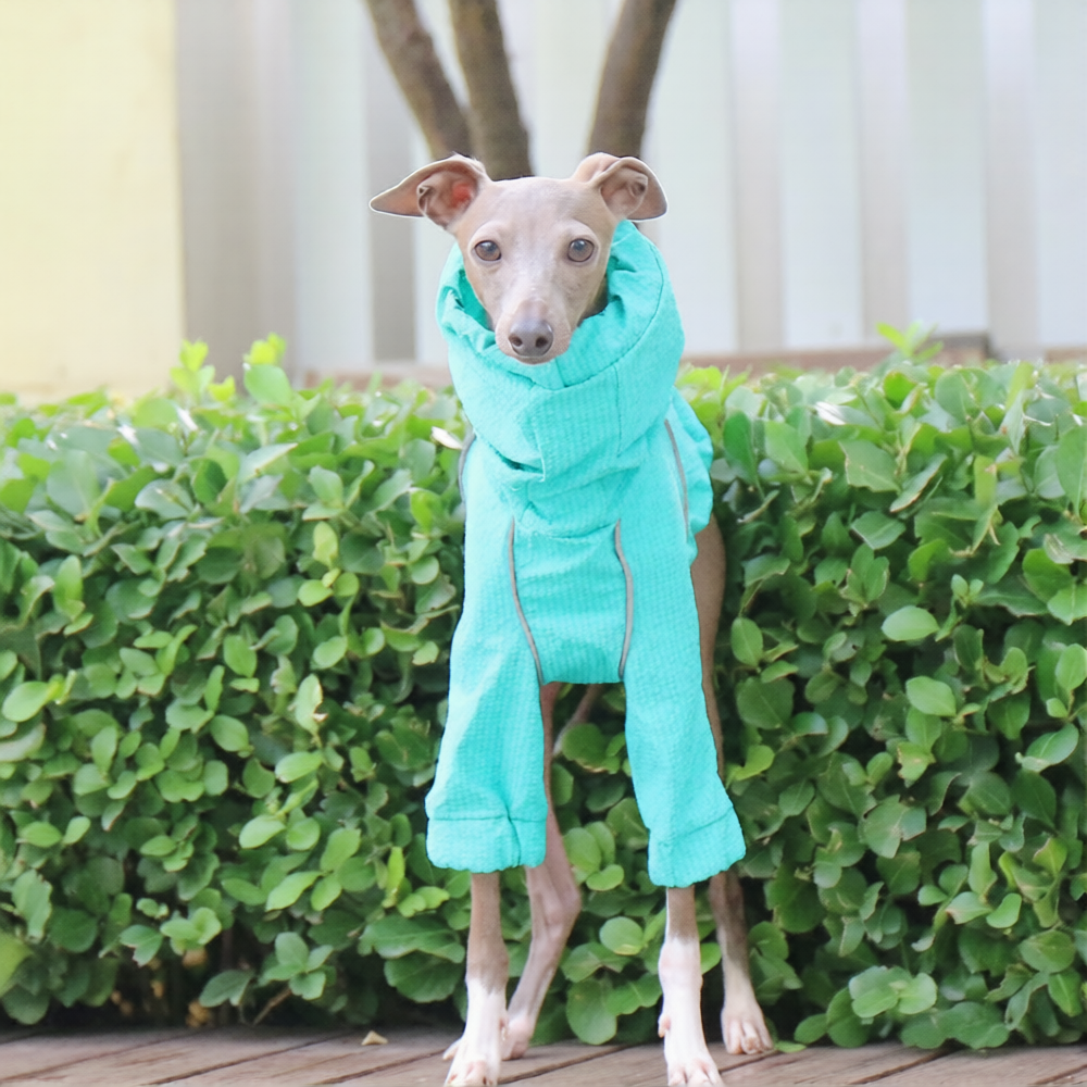 Whippet & Italian Greyhound Dog Raincoat – Waterproof Four-Leg Rain Suit