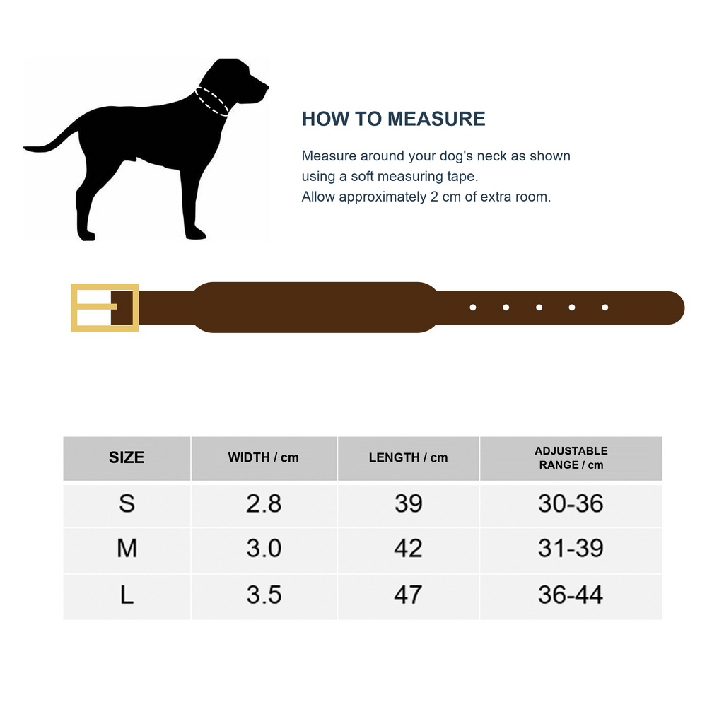 Whippet & Italian Greyhound Genuine Leather Studded Collar – Wide Sighthound Dog Collar