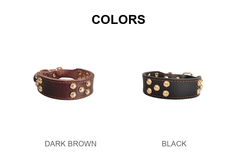 Whippet & Italian Greyhound Genuine Leather Studded Collar – Wide Sighthound Dog Collar