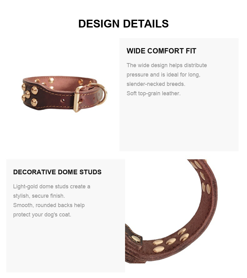 Whippet & Italian Greyhound Genuine Leather Studded Collar – Wide Sighthound Dog Collar