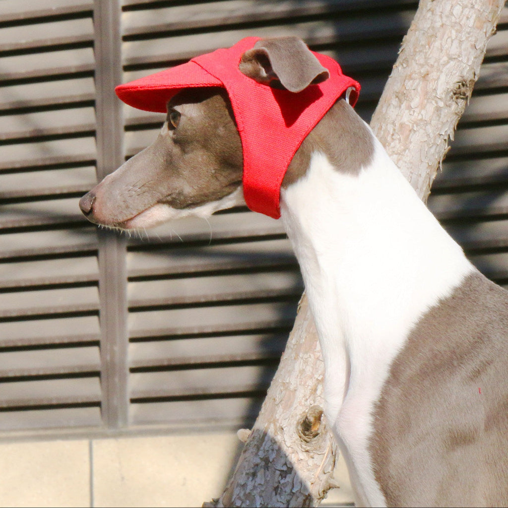 Whippet Italian Greyhound Dog Baseball Cap Sun Hat Lightweight Pet Outdoor Hat