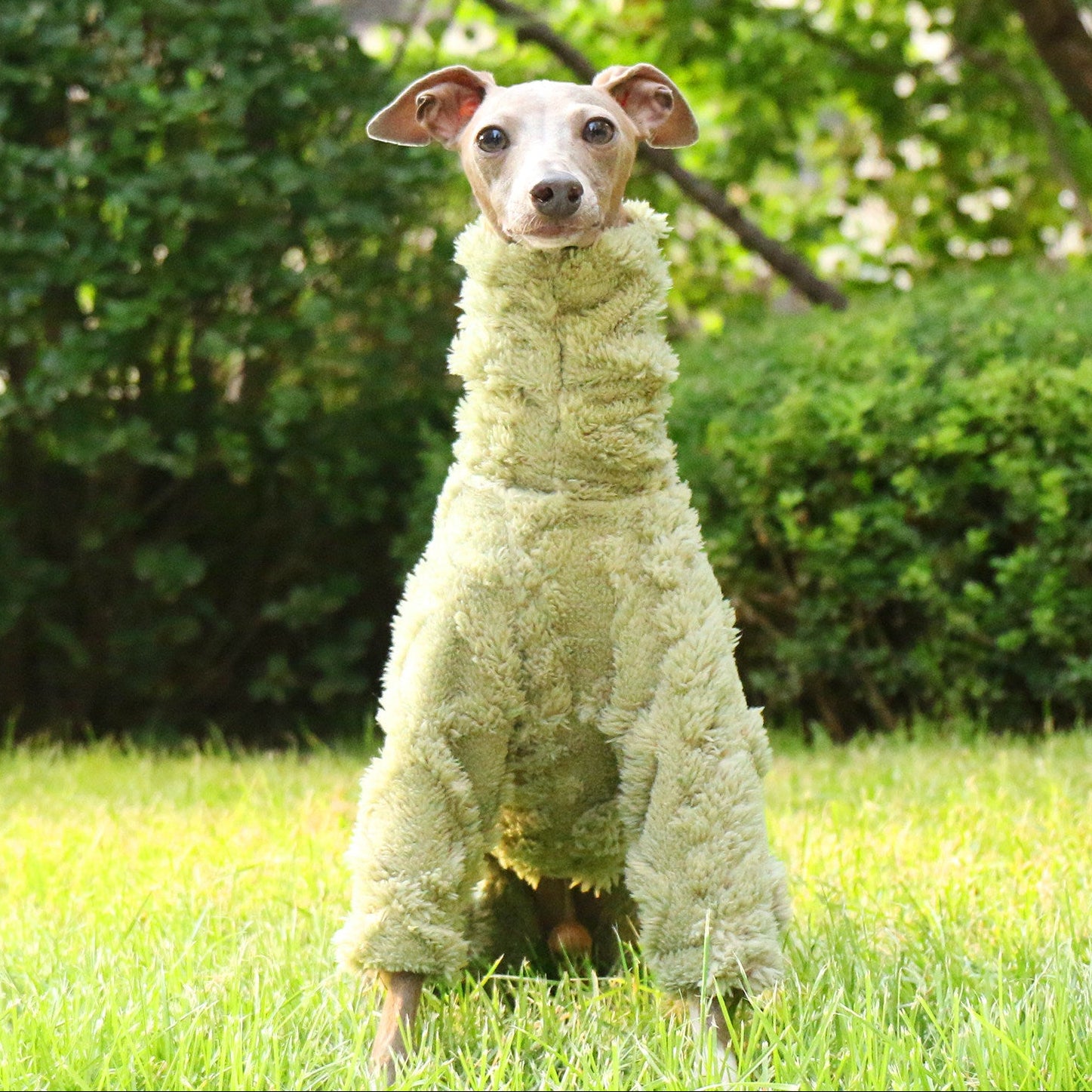 Whippet & Italian Greyhound Fleece Jumpsuit – Warm Winter Dog Pajamas