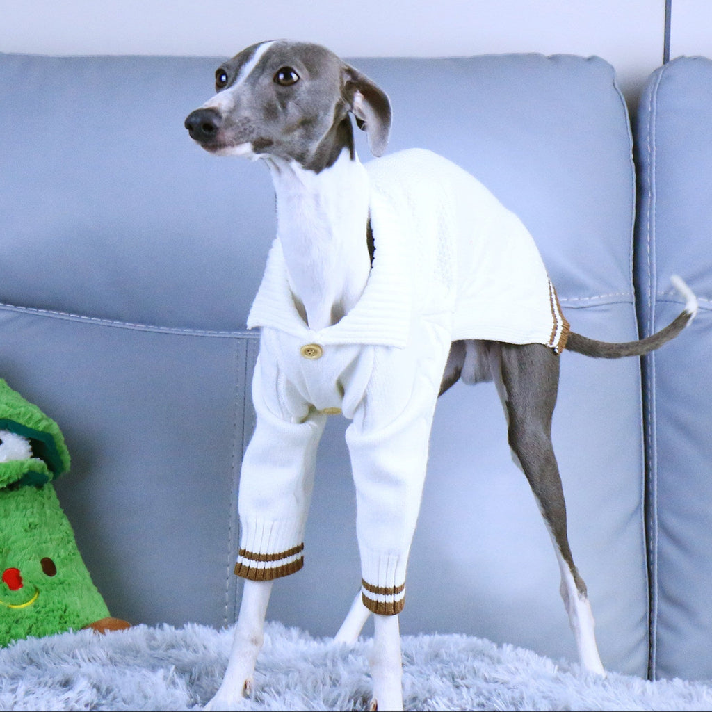 Whippet Italian Greyhound Turtleneck Dog Sweater Soft Warm Winter Knit Clothes