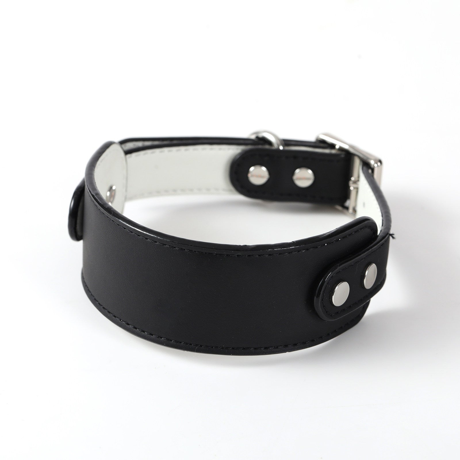 Whippet Italian Greyhound Adjustable Dog Collar Wide Nylon Collar with Metal Buckle