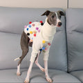 Whippet & Italian Greyhound Turtleneck Knit Dog Sweater – Warm Sighthound Clothing