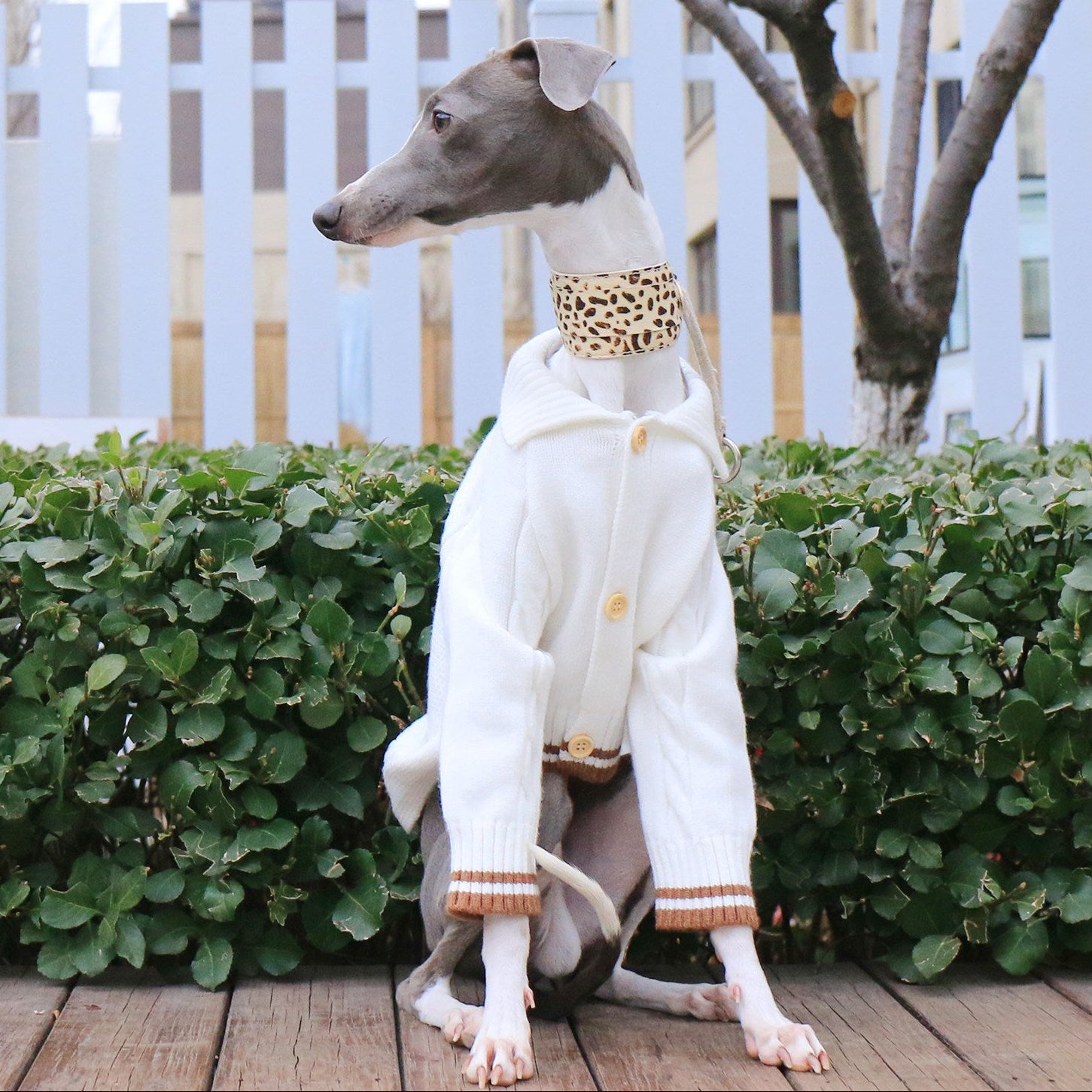 Whippet Italian Greyhound Turtleneck Dog Sweater Soft Warm Winter Knit Clothes