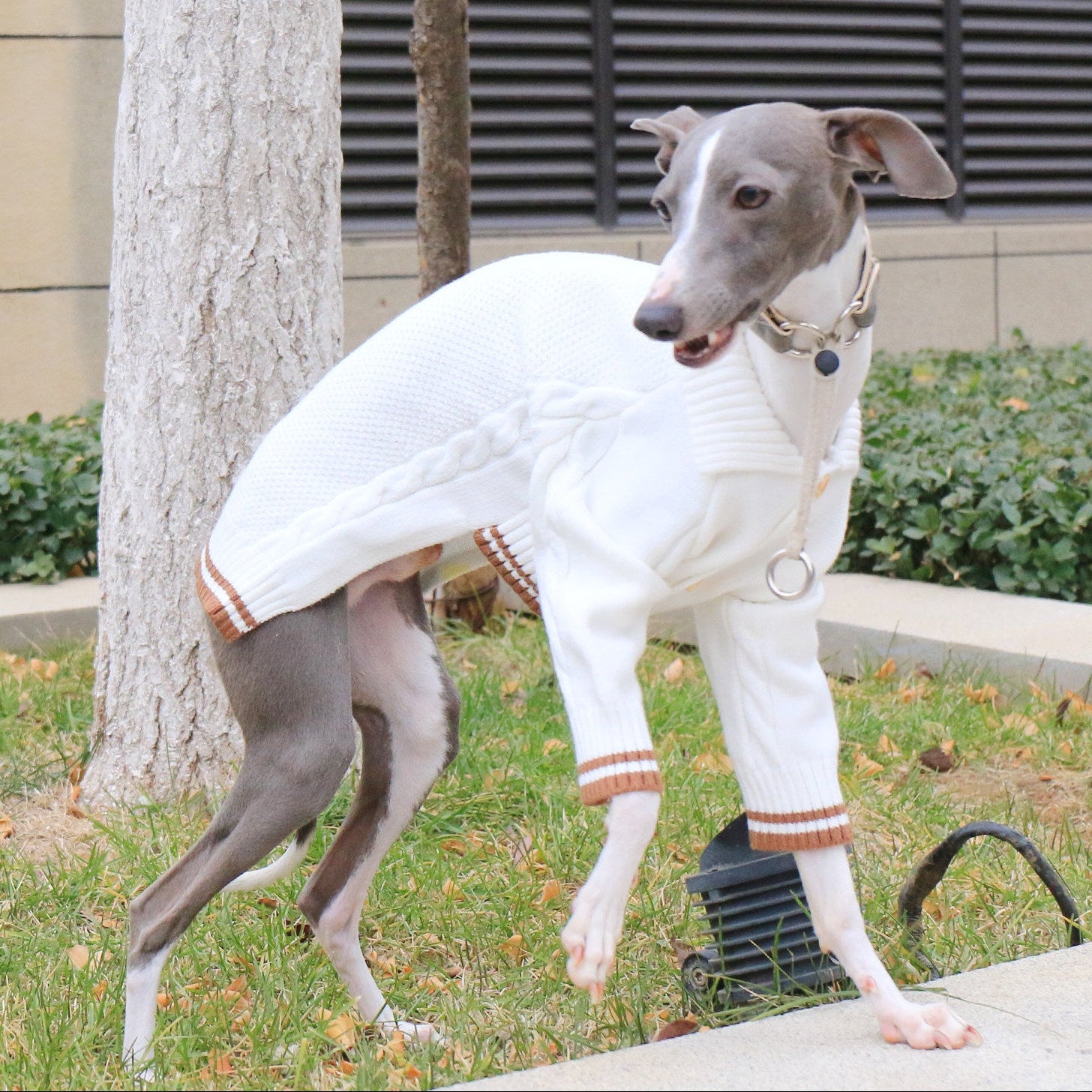Whippet Italian Greyhound Turtleneck Dog Sweater Soft Warm Winter Knit Clothes