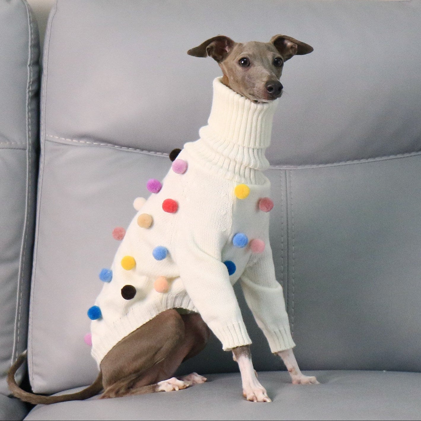 Whippet & Italian Greyhound Turtleneck Knit Dog Sweater – Warm Sighthound Clothing