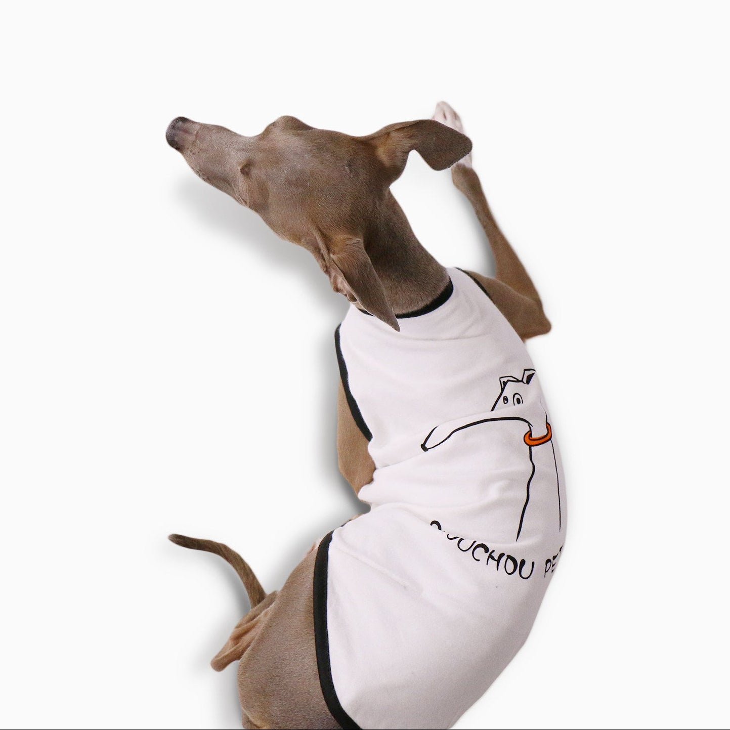 Whippet & Italian Greyhound Jacquard Fleece Pajamas – Warm Four-Leg Dog Jumpsuit
