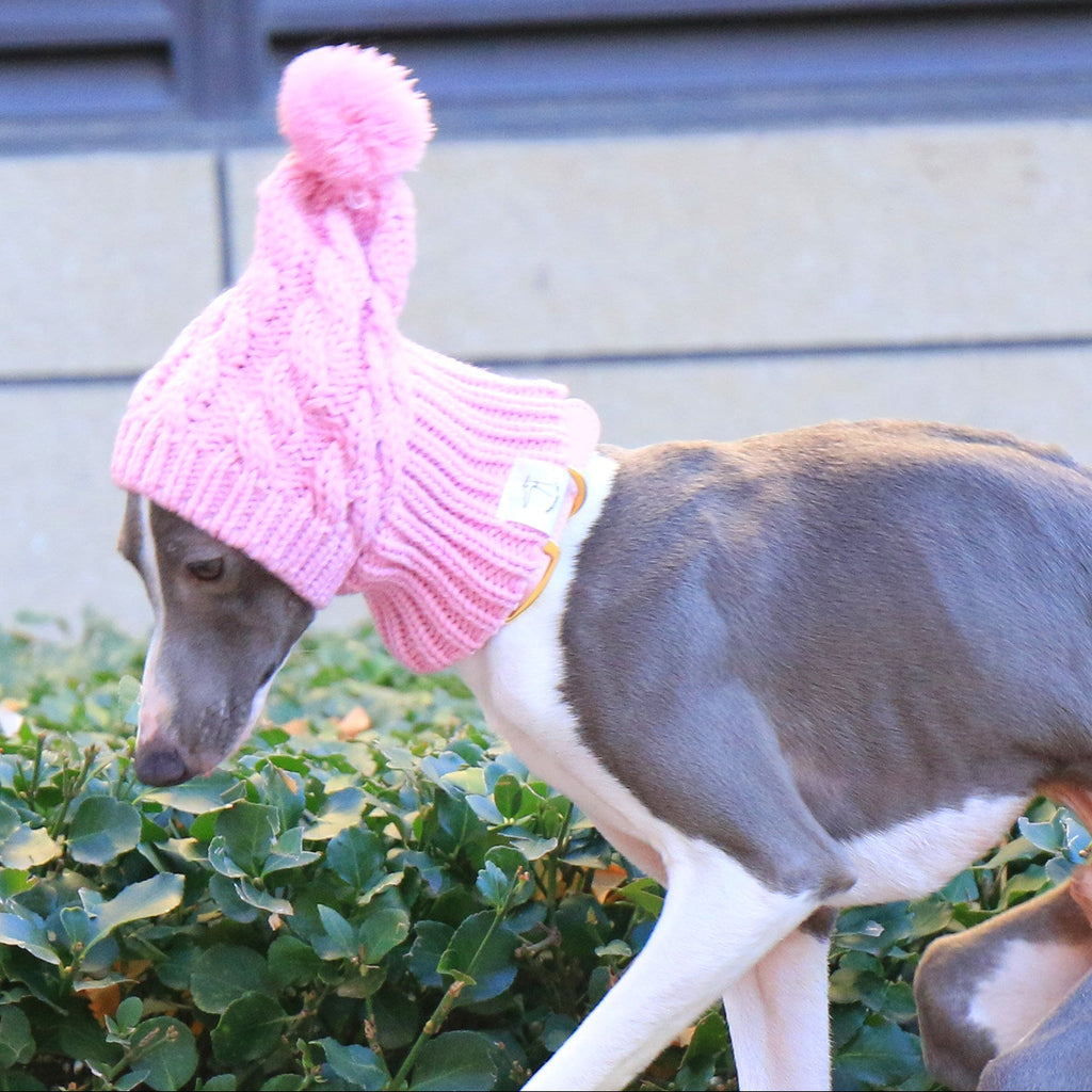 Whippet Italian Greyhound Knitted Dog Hat Winter Warm Soft Pet Beanie for Small Dogs