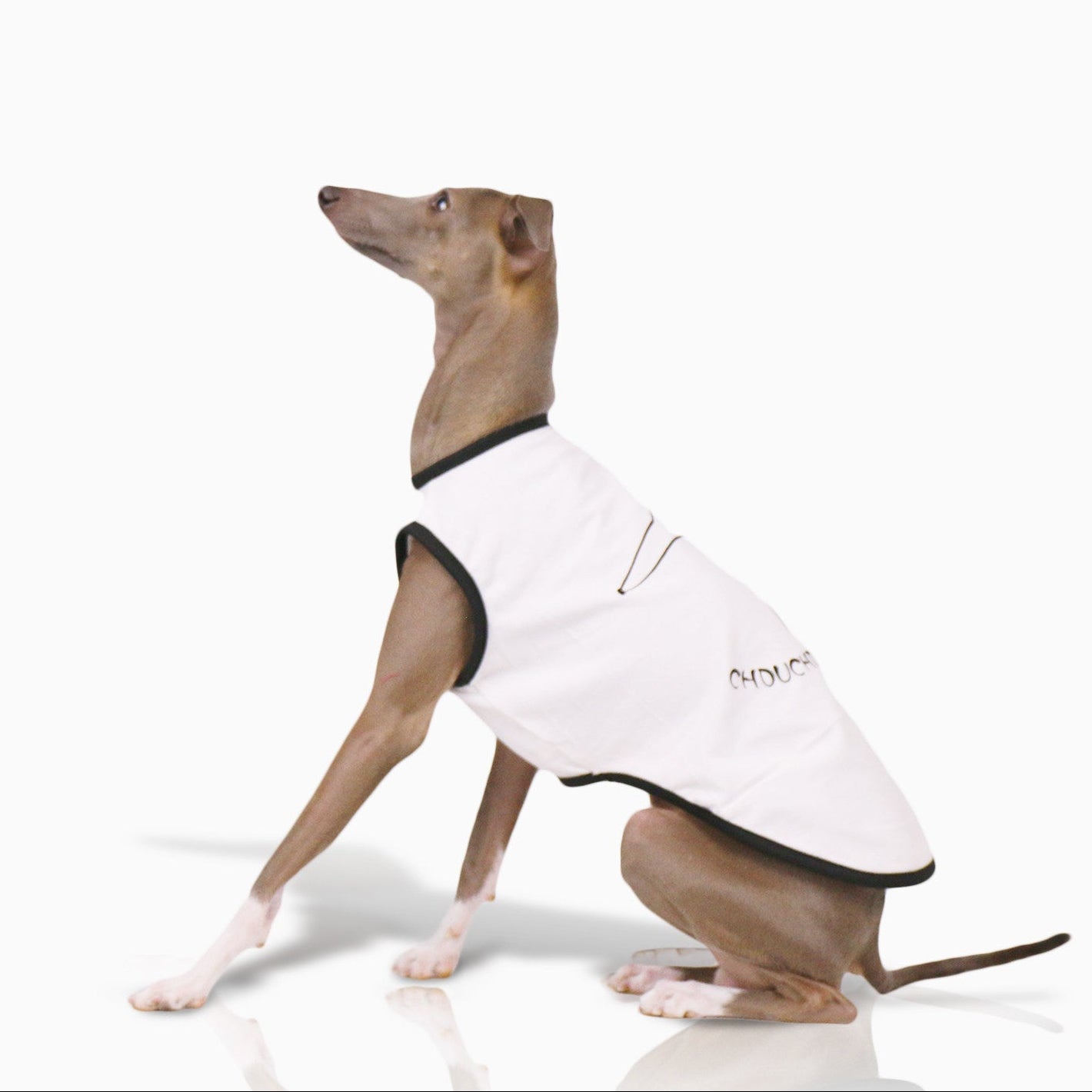 Whippet & Italian Greyhound Jacquard Fleece Pajamas – Warm Four-Leg Dog Jumpsuit