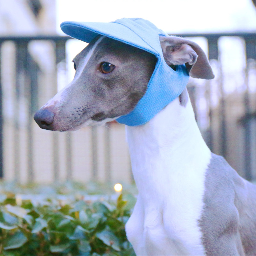 Whippet Italian Greyhound Dog Baseball Cap Sun Hat Lightweight Pet Outdoor Hat