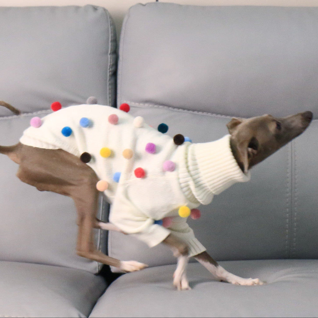 Whippet & Italian Greyhound Turtleneck Knit Dog Sweater – Warm Sighthound Clothing