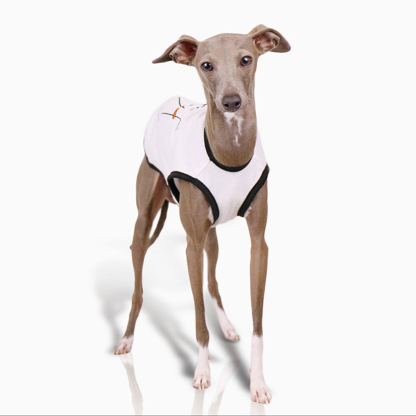 Whippet & Italian Greyhound Jacquard Fleece Pajamas – Warm Four-Leg Dog Jumpsuit