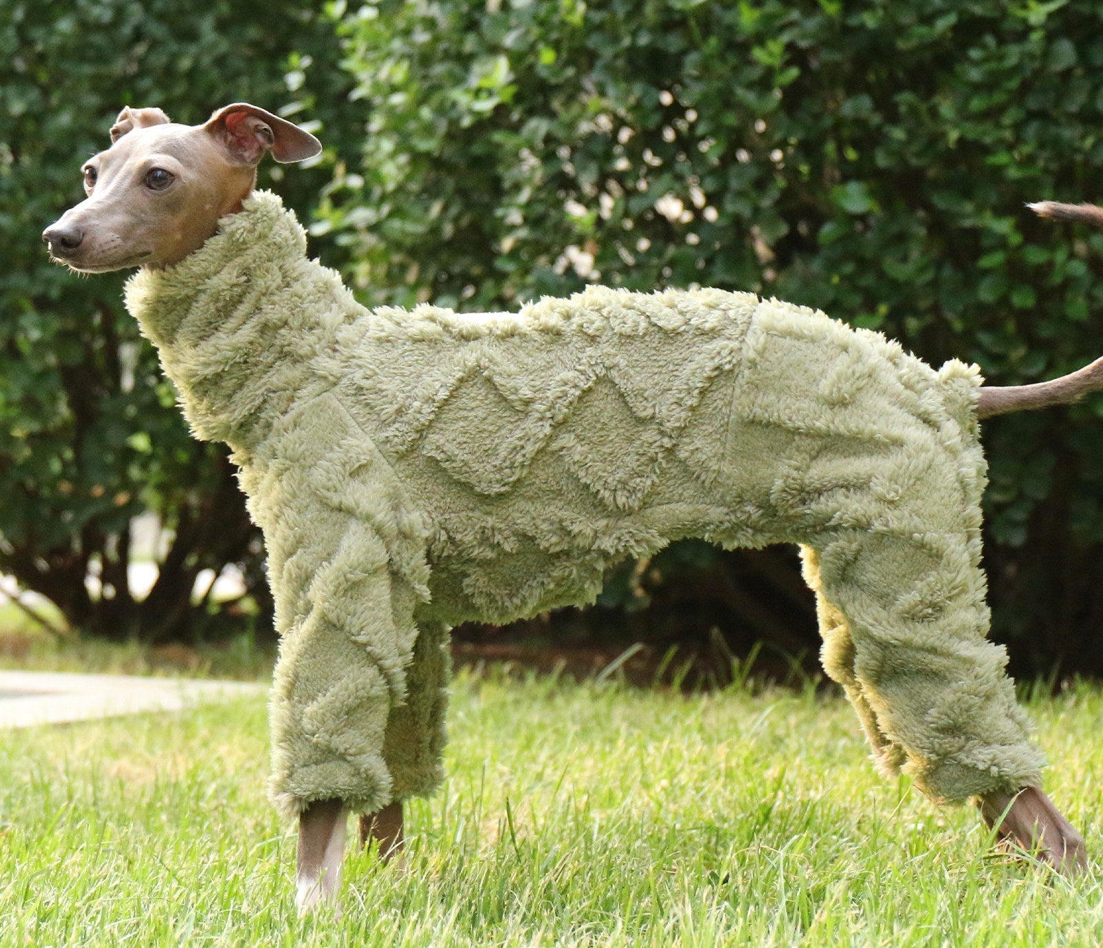 Whippet & Italian Greyhound Fleece Jumpsuit – Warm Winter Dog Pajamas