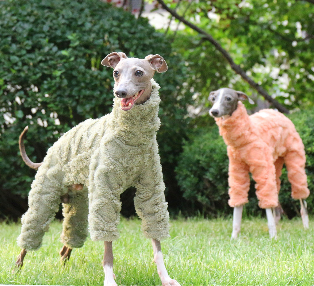 Whippet & Italian Greyhound Fleece Jumpsuit – Warm Winter Dog Pajamas