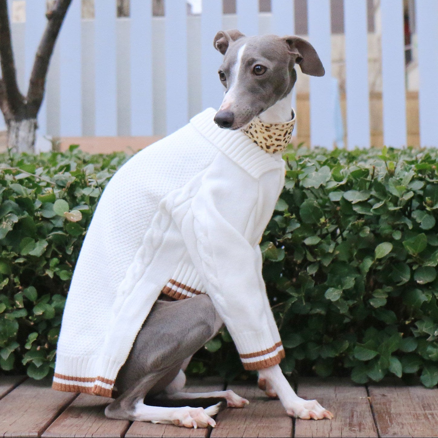 Whippet Italian Greyhound Turtleneck Dog Sweater Soft Warm Winter Knit Clothes