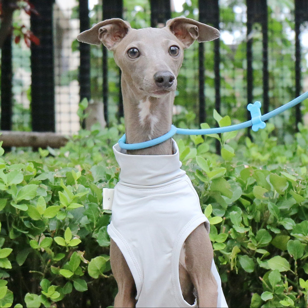 Cooling Dog Vest for Whippet Italian Greyhound Lightweight Breathable Summer Sun Protection Shirt