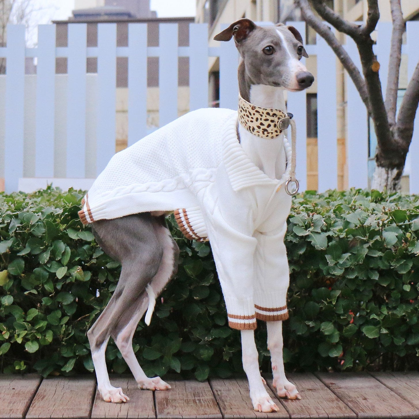 Whippet Italian Greyhound Turtleneck Dog Sweater Soft Warm Winter Knit Clothes