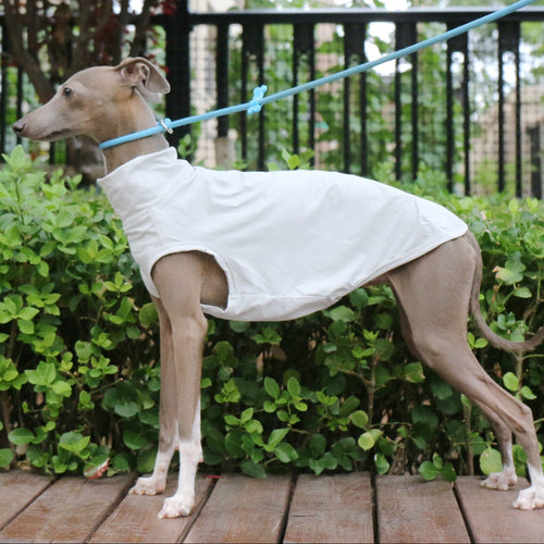 Cooling Dog Vest for Whippet Italian Greyhound Lightweight Breathable Summer Sun Protection Shirt